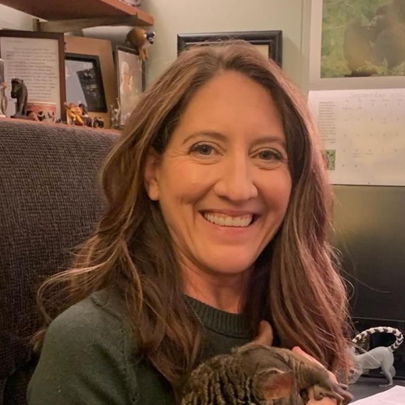 Karin Jaffe